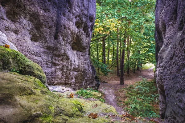 Beyaz Veya Fil Taşları Çek Cumhuriyeti Nin Lusatian Dağları Nda — Stok fotoğraf