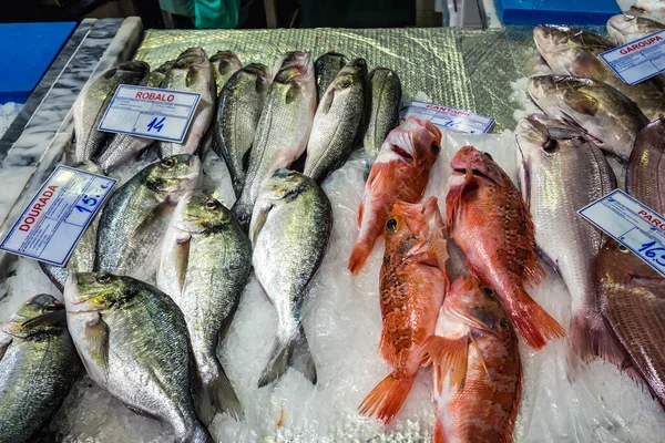 Setubal Portugália 2018 Október Fish Stand Mercado Livramento Food Market — Stock Fotó