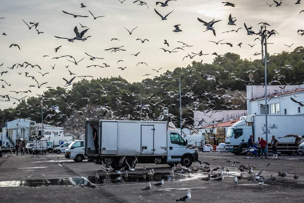 Sesimbra Portugalsko Října 2018 Mews Port Sesimbra Town — Stock fotografie