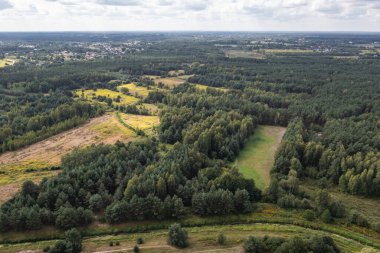 Aerial drone view from Czarny Las village, Piaseczno County near Gora Kalwaria city, Poland clipart