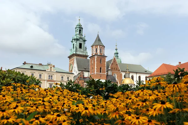 ポーランド クラクフ2022年8月24日 クラクフにあるヴァヴェル大聖堂のある中庭からの眺め — ストック写真