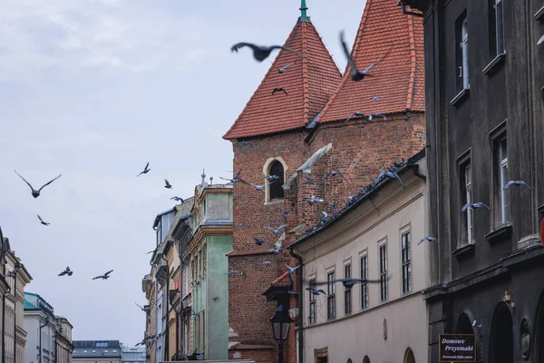 Krakow Poland August 2022 Mark Evangelist Church Old Town Historic — Stock Photo, Image