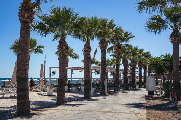 Larnaka Zypern September 2022 Palmen Der Strandpromenade Mackenzie Larnaka — Stockfoto