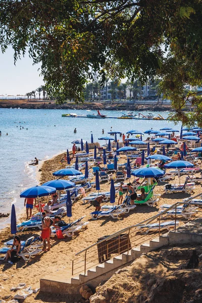 Protaras Chipre Setembro 2022 Equipamentos Praia Uma Praia Fig Tree — Fotografia de Stock