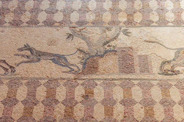 キプロスのパフォス2022年9月29日 パフォス考古学公園ディオニソスの家の床のモザイクの狩猟シーン — ストック写真