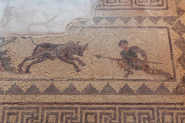 Pafos Cypr Września 2022 Mozaika Sceny Łowieckiej Domu Dionizosa Parku — Zdjęcie stockowe
