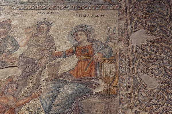 Paphos Cypr Września 2022 Szczegóły Mozaiki Aion House Rzymska Willa — Zdjęcie stockowe