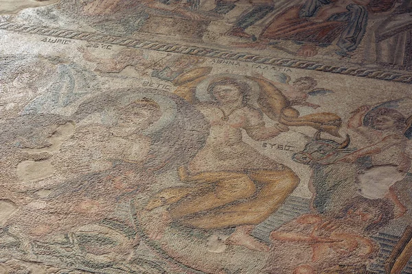 Paphos Cypr Września 2022 Szczegółowa Mozaika Aion House Rzymska Willa — Zdjęcie stockowe