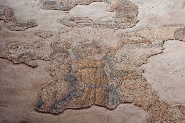 Paphos Cypr Września 2022 Zbliżenie Mozaikę Podłogową Aion House Rzymska — Zdjęcie stockowe