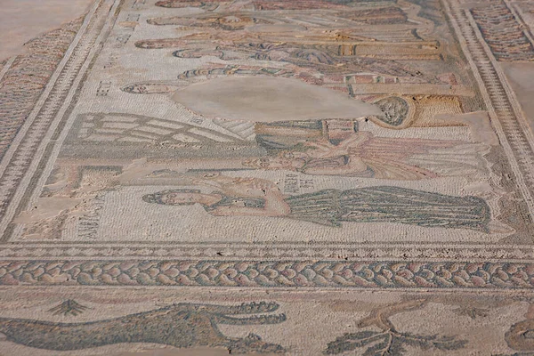 キプロスのパフォス 2022年9月29日 パフォス市の考古学公園にある古代テーセウスの一部である床モザイク — ストック写真