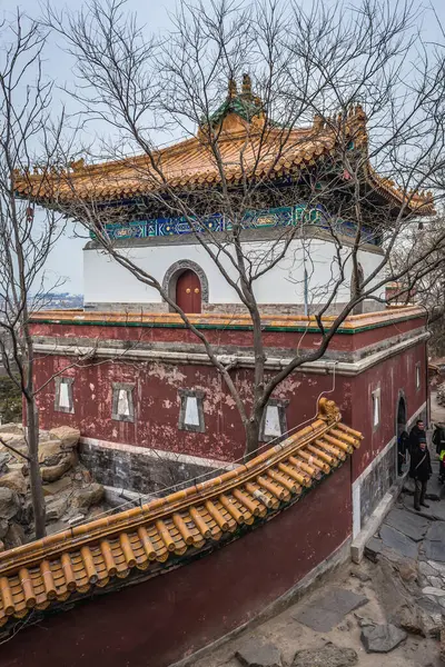 Pequim China Fevereiro 2019 Complexo Quatro Grandes Regiões Colina Longevidade — Fotografia de Stock