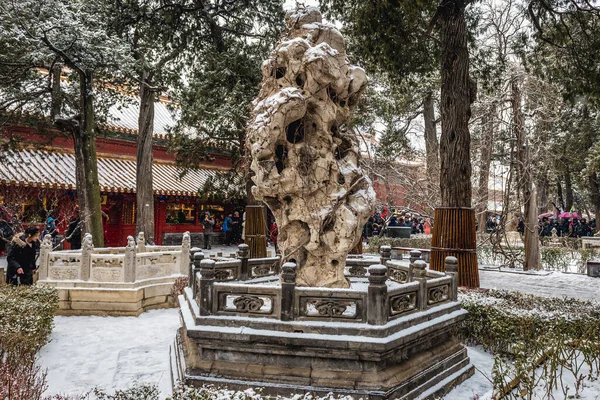 Pékin Chine Février 2019 Jardin Impérial Cité Interdite Pékin — Photo