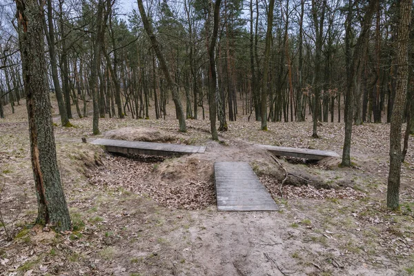 Sentiers Forêt Dans Quartier Bialoleka Lisière Varsovie Capitale Pologne — Photo