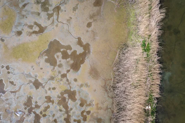 Сухой Рыбный Пруд Деревне Медзырзече Горне Силезского Района Польши — стоковое фото