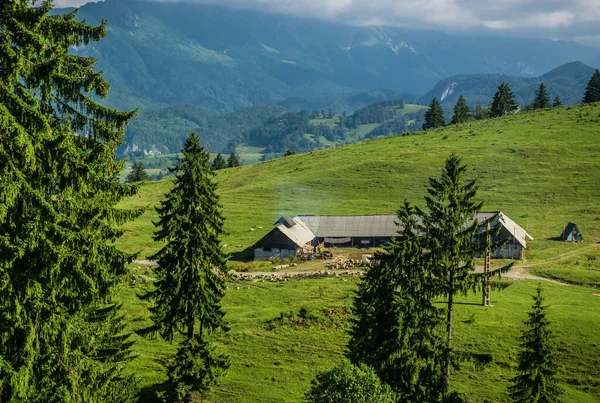 ルーマニアのトランシルヴァニア地方のカルパティア山脈の風景 — ストック写真