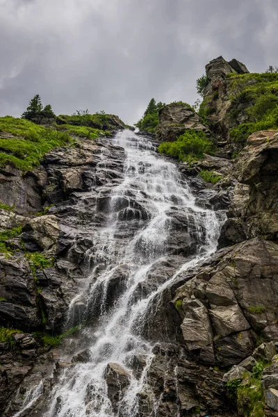 Capra Cachoeira Lado Estrada Transfagarasan Nas Montanhas Cárpatas Roménia — Fotografia de Stock