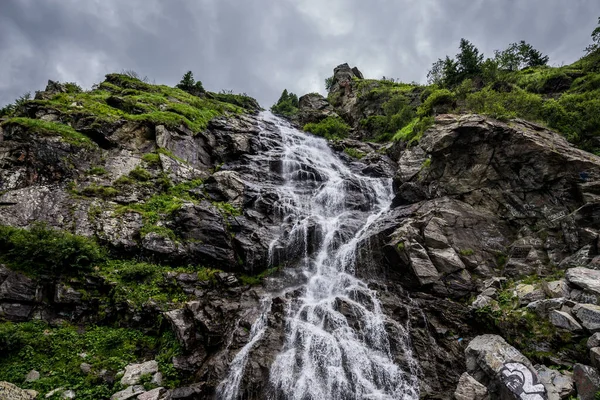 Capra Cachoeira Cabra Lado Estrada Transfagarasan Nas Montanhas Cárpatas Romênia — Fotografia de Stock
