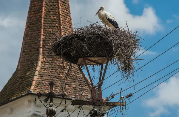 Stork Nest Front Church Holy Trinity Sibiel Transylvania Region Romania — Stock Photo, Image