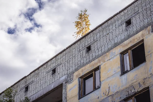 ウクライナのチェルノブイリ排除ゾーンの放棄された軍事基地内のホテルの屋根の上の白樺の木 — ストック写真