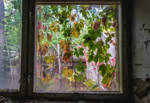 Janela Jardim Infância Cheburashka Pripyat Cidade Abandonada Zona Exclusão Chernobyl — Fotografia de Stock
