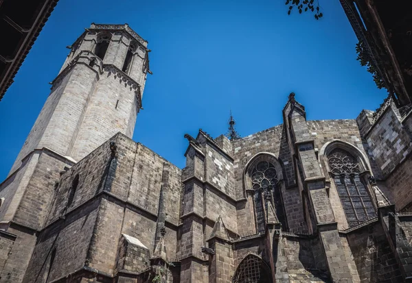 Cathédrale Sainte Croix Sainte Eulalia Dans Quartier Gothique Barcelone Espagne — Photo