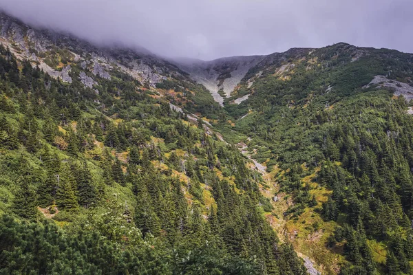 Couloir Rudny Stream Sniezka Mountain Karkonosze Mountains Czech Republic — стокове фото
