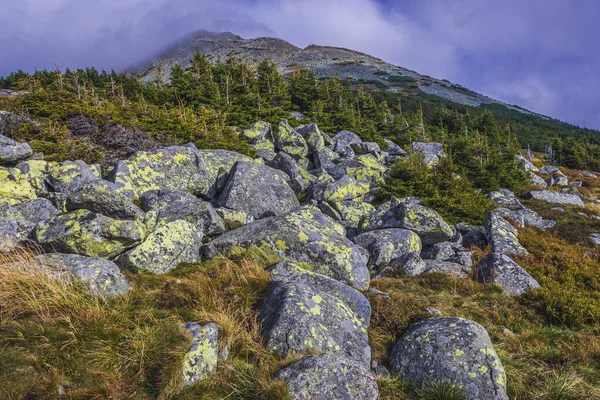 Blick Vom Touristenpfad Auf Die Schneekoppe Riesengebirge Nahe Der Tschechisch — Stockfoto