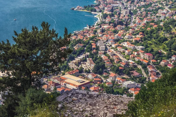 View Ancient Walls Historic Part Kotor Town Montenegro — Stock Photo, Image
