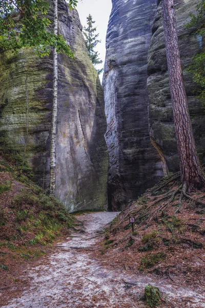 Туристична Стежка Adrspach Teplice Rocks National Park Czech Republic — стокове фото