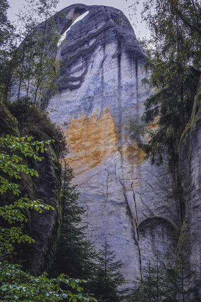 Рок Формування Під Назвою Pitcher Adrspach Teplice Rocks National Park — стокове фото