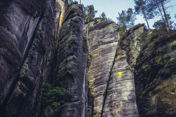 Βράχοι Στο Εθνικό Πάρκο Adrspach Teplice Rocks Στην Τσεχική Δημοκρατία — Φωτογραφία Αρχείου