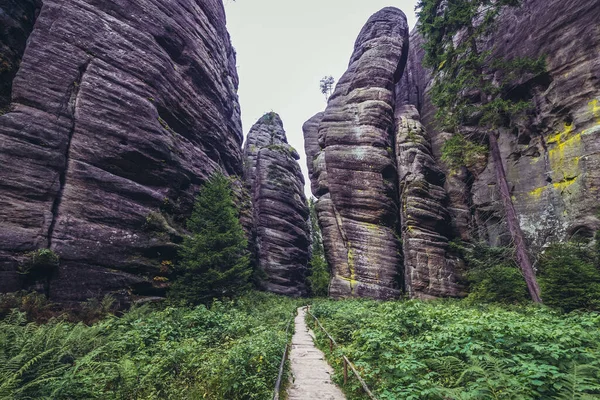 捷克共和国Teplice Nad Metuji镇附近Adrspach Teplice岩石公园的砂岩 — 图库照片