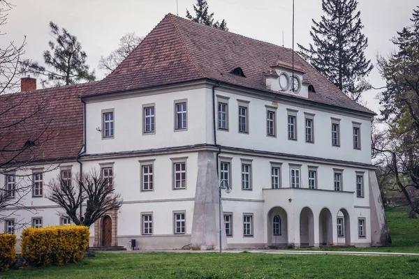 Старый Замок Резиденция Местных Властей Деревне Брезолупы Чехия — стоковое фото