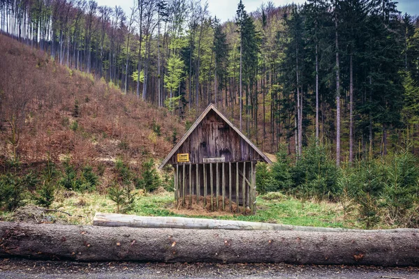 Çek Cumhuriyeti Nin Vsetin Kenti Yakınlarındaki Beskids Dağları Nda Hayvan — Stok fotoğraf