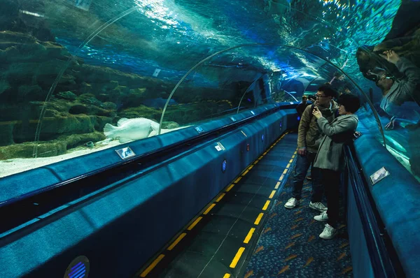 Beijing China Maart 2013 Acryl Onderwater Tunnel Van Blue Zoo — Stockfoto