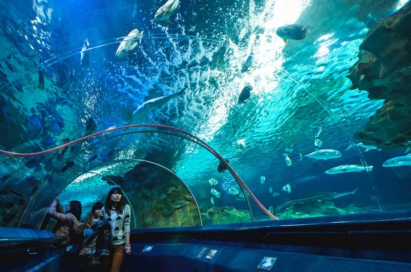 Beijing China March 2013 Tourists Observing Fishes Underwater Tunnel Blue — Stock Photo, Image