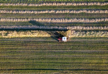 A tractor during summer field work in a field in the Masovian Voivodeship in Poland. clipart