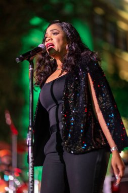 Reggae grubu The Wailers, Miami Tasarım Bölgesi 'nde 19 Şubat 2024' te Miami Senfoni Orkestrası ile birlikte konser verdi.