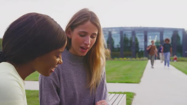 Дві Студентки Університету Або Коледжу Сидять Відкритому Повітрі Кампусі Розмовляючи — стокове відео