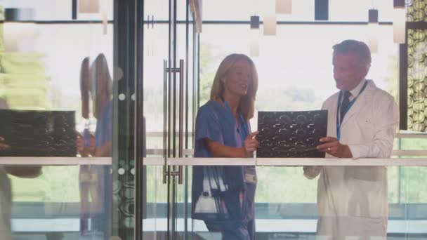 Beyaz Önlüklü Erkek Kadın Doktorlar Hastane Binasında Ağır Çekimde Çekilen — Stok video
