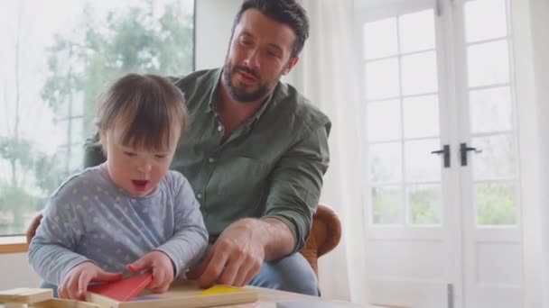 증후군 아버지 가집에서 모양을 분류하는 아버지와 놀이를 동작으로 — 비디오