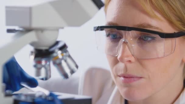 Γυναίκα Ερευνήτρια Εργαστηρίου Μελετώντας Γυάλινη Διαφάνεια Στο Μικροσκόπιο Για Έρευνα — Αρχείο Βίντεο