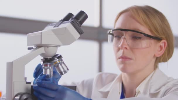 Kadın Laboratuvar Araştırmacısı Yavaş Çekimde Mikroskopta Cam Kaymasını Inceliyor — Stok video