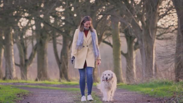 Kvinna Med Protes Arm Promenader Sällskapsdjur Golden Retriever Hund Genom — Stockvideo
