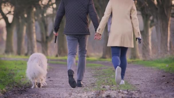 Bakifrån Par Med Kvinna Med Protes Arm Promenader Sällskapsdjur Golden — Stockvideo