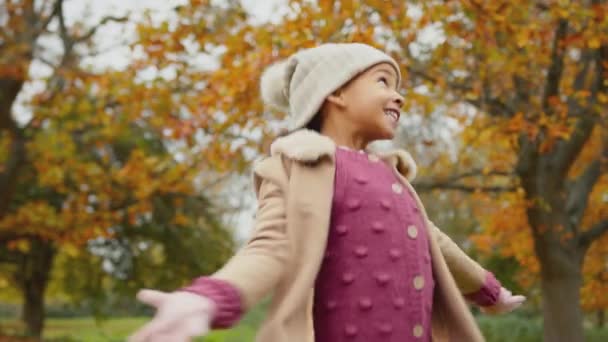 Mladá Dívka Která Baví Házením Podzimního Listí Vzduchu Procházce Venkově — Stock video