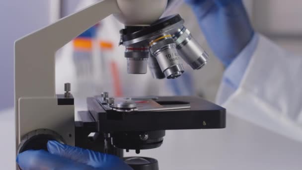 Laboratóriumi Vérmintákat Mikroszkóppal Elemző Női Laboratóriumi Dolgozó Vagy Phlebotomist Közeli — Stock videók