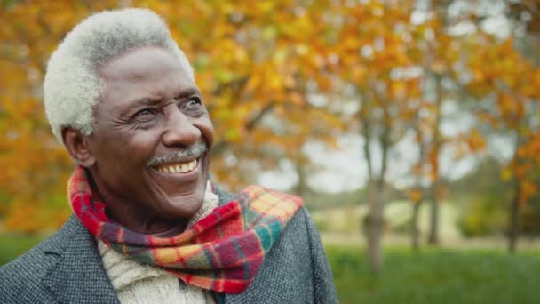 Porträt Eines Älteren Mannes Beim Spaziergang Durch Die Herbstliche Landschaft — Stockvideo