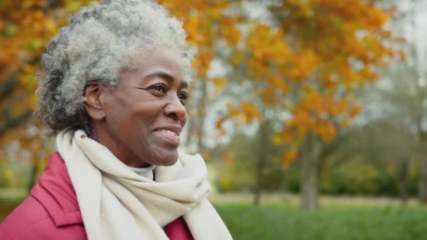 Porträt Einer Seniorin Beim Spaziergang Durch Die Herbstliche Landschaft Aufgenommen — Stockvideo