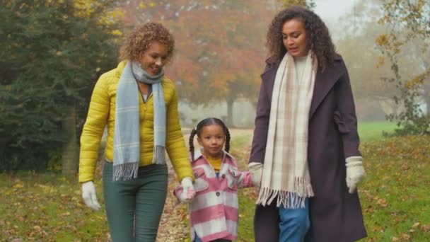 Sorrindo Família Feminina Várias Gerações Caminhando Pela Paisagem Outono Juntos — Vídeo de Stock